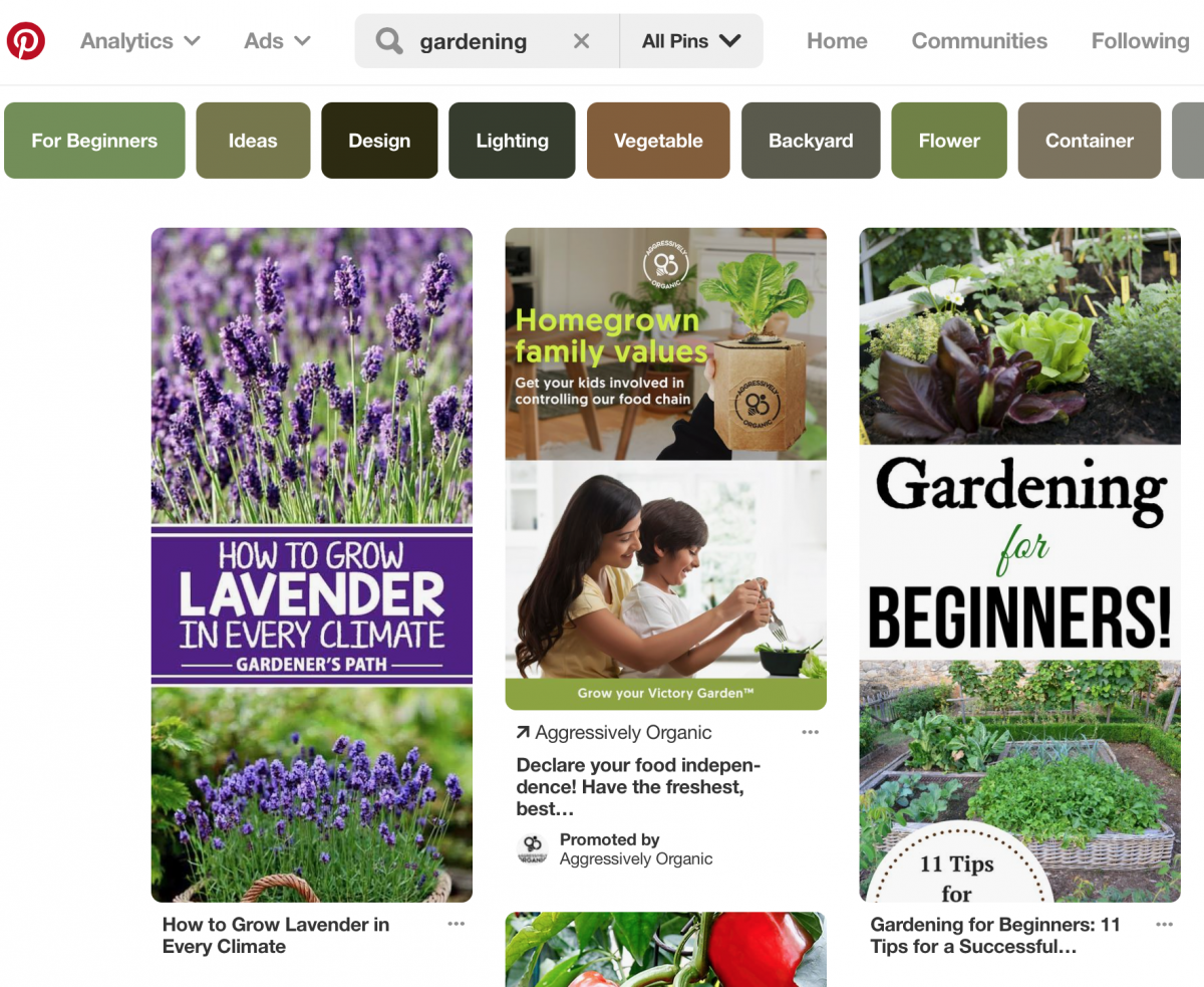 searching for gardening on Pinterest