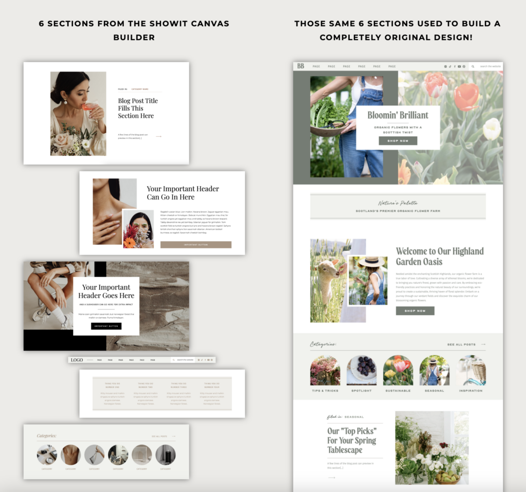 Website examples using Showit Canvas Builder to create a custom design